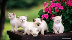 Need friendship 4 ever 4 ever 4 ever 4 ever 4 ever 4 ever 4 ever 4 ever 4 ever 4 ever 4 ever 4 ever 